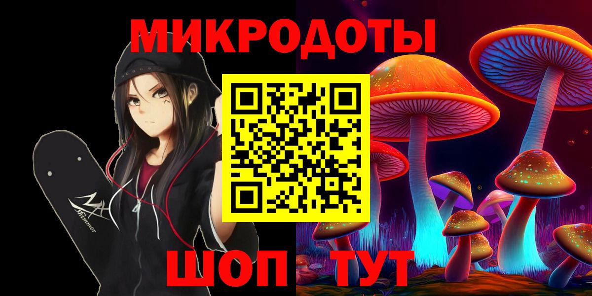 Галлюциногенные грибы Psilocybe Качканар