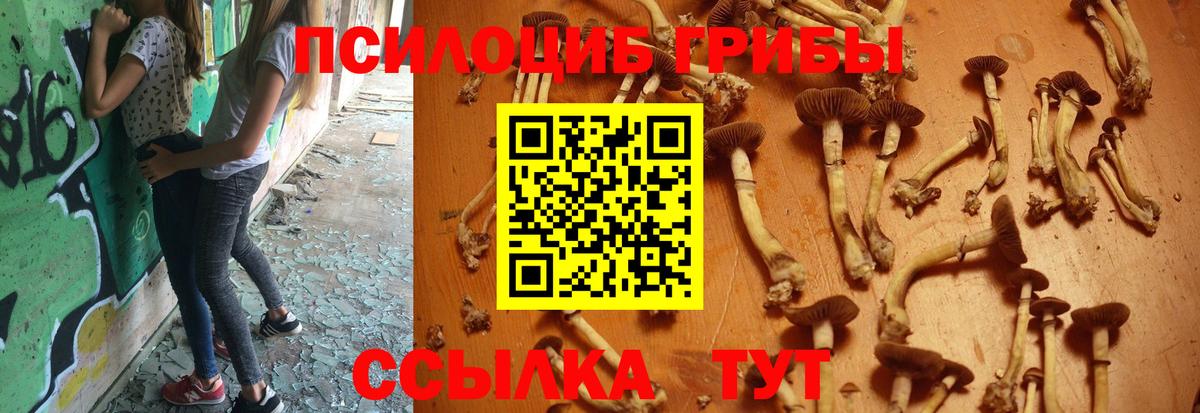 Псилоцибиновые грибы MAGIC MUSHROOMS  Вход с VPN  Качканар 